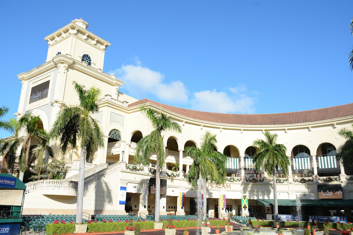 A racino combines the thrill of horse racing with the excitement of a casino, offering a unique entertainment experience.
